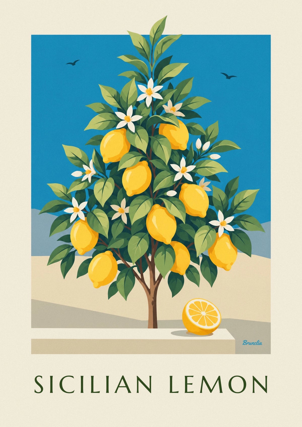 Affiche planche botanique de citrons de Sicile en fleurs
