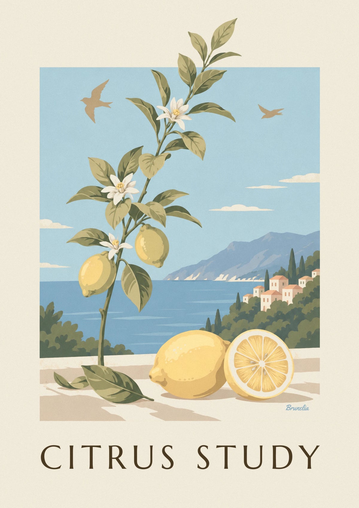 Affiche planche botanique de citrons, fruit, feuilles et fleurs
