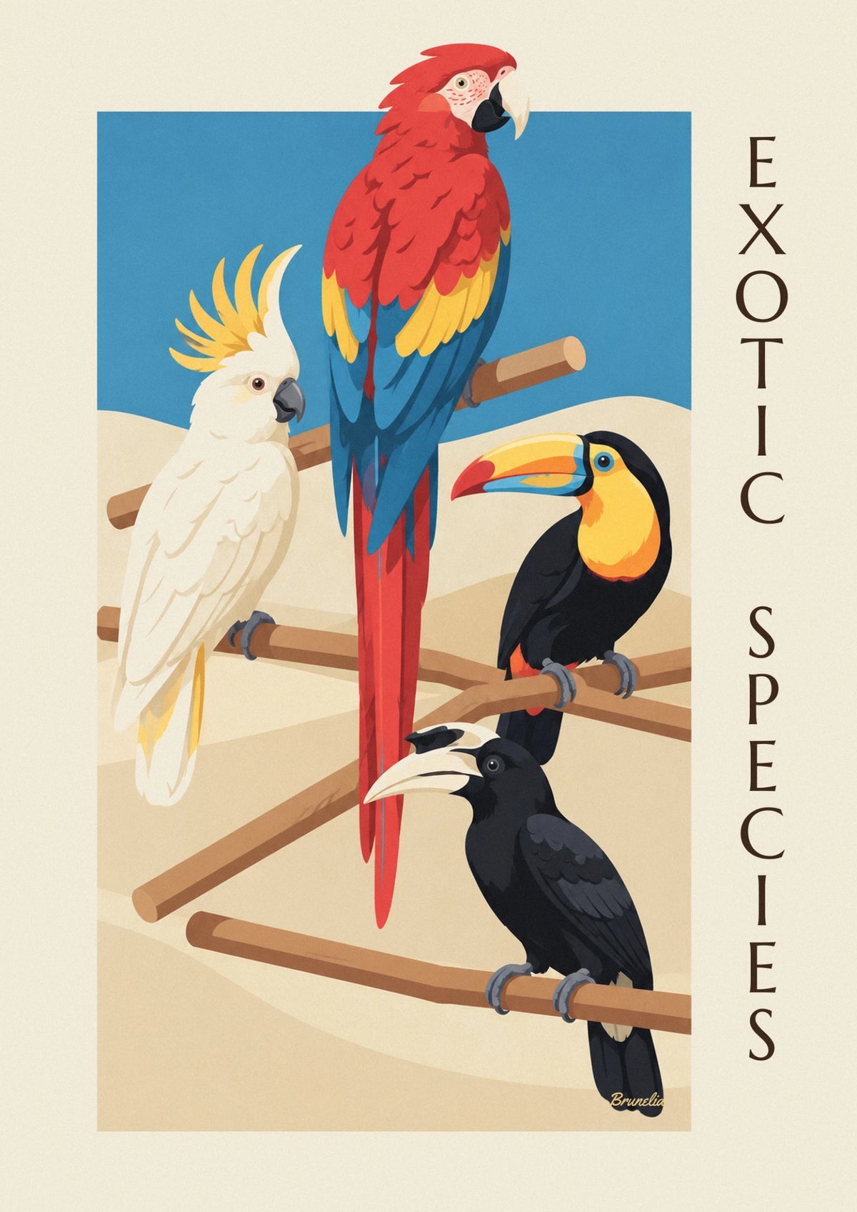 Affiche classification ornithologique oiseaux exotiques