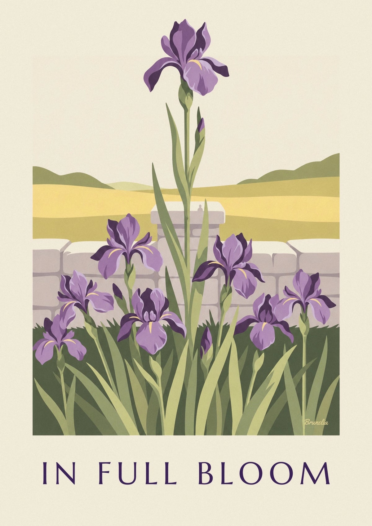 Affiche iris violets en pleine floraison dans un jardin