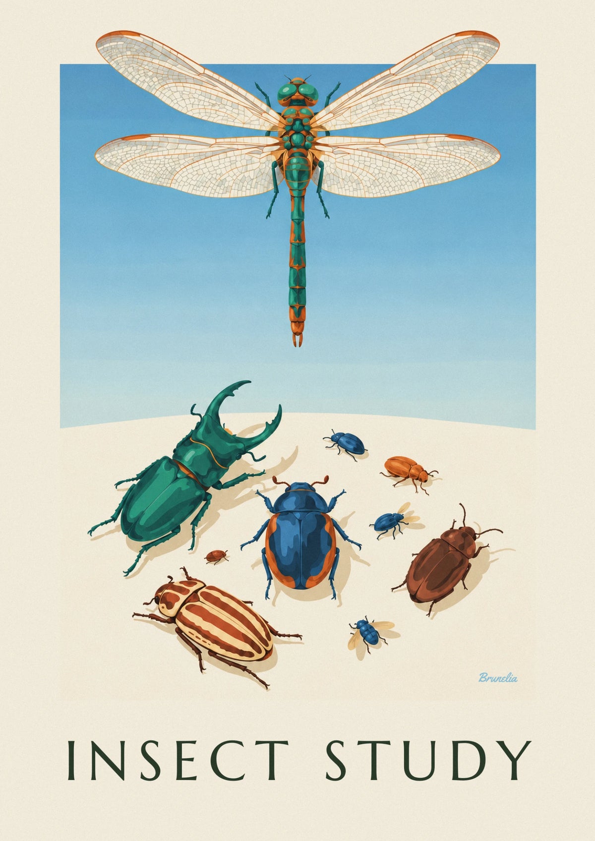 Affiche planche entomologique de scarabées et libellules