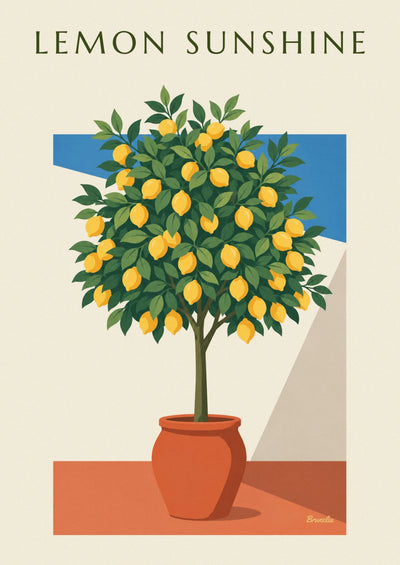 Affiche citronnier en pot sur une terrasse ensoleillée d'Italie : l'affiche entière