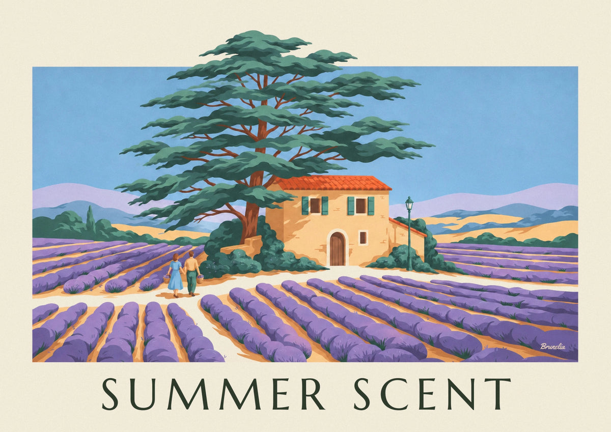 Affiche lavande, cèdre et maison provençale