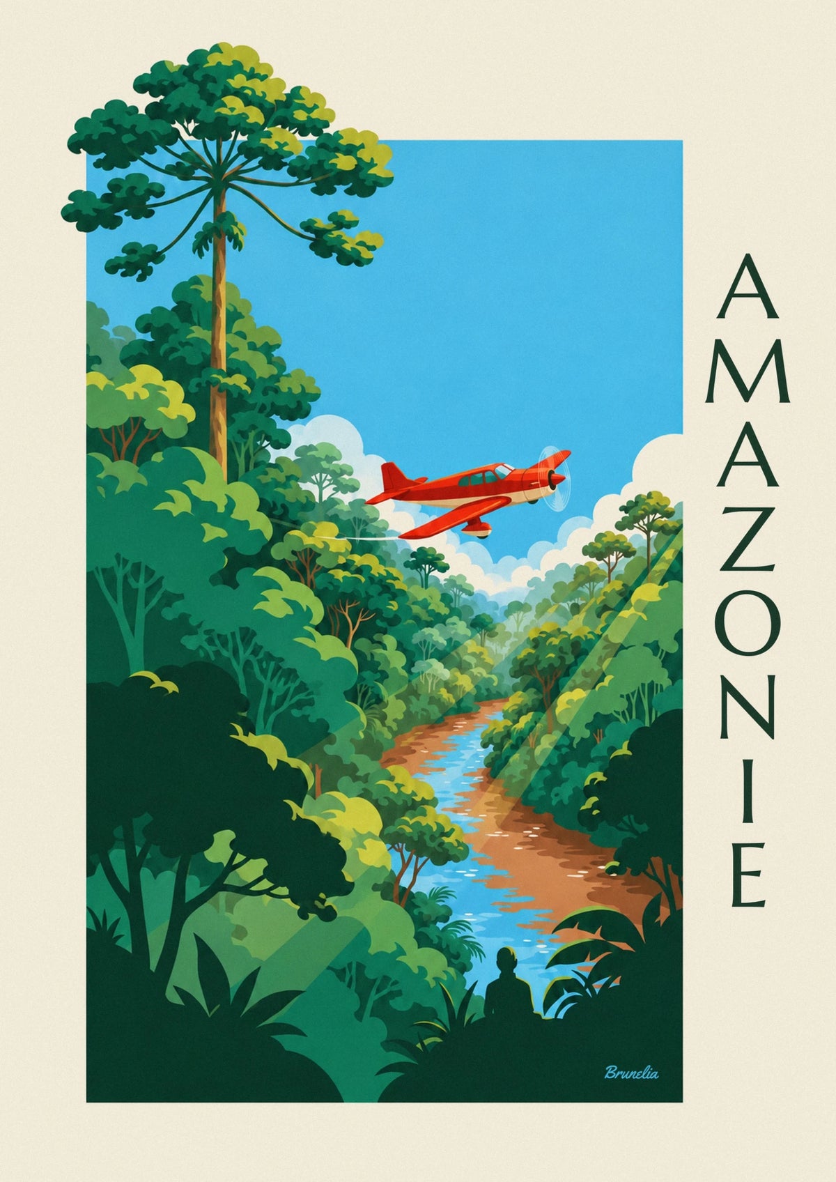 Affiche avion à hélices survolant la forêt amazonienne
