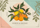 Affiche illustration agrumes jaunes et oranges années 1930