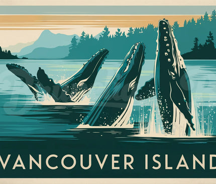 Affiche baleines rétro Vancouver Island