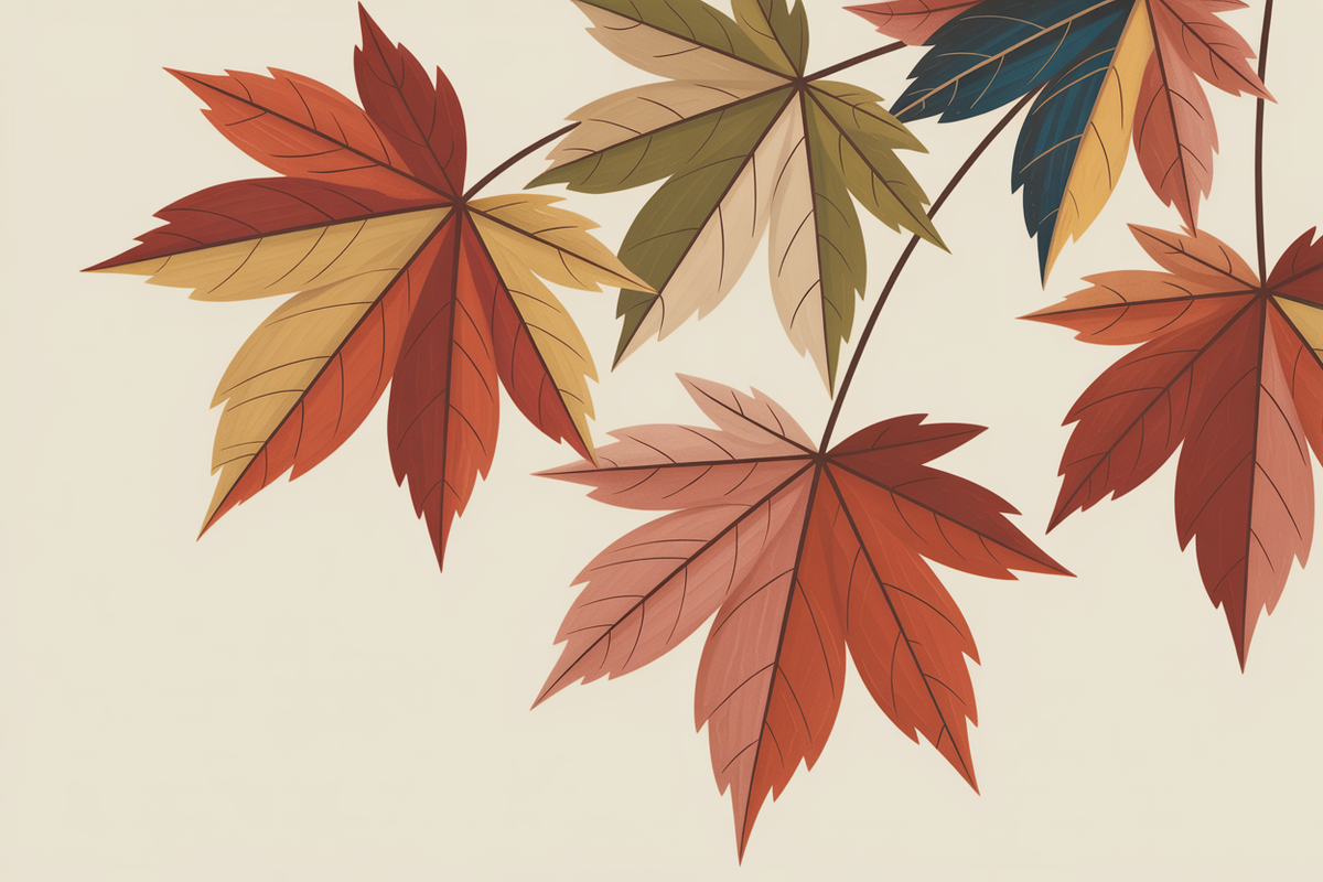 Illustration canada