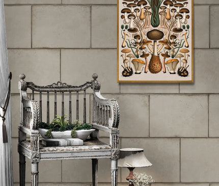 affiche champignon vintage