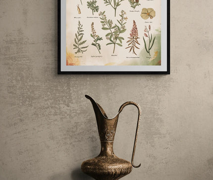 affiche herbier vintage