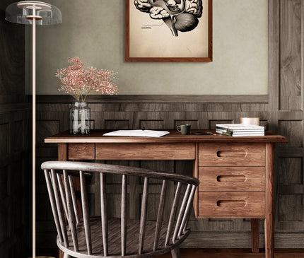 affiche anatomie vintage