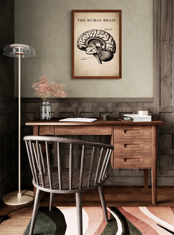 affiche anatomie vintage