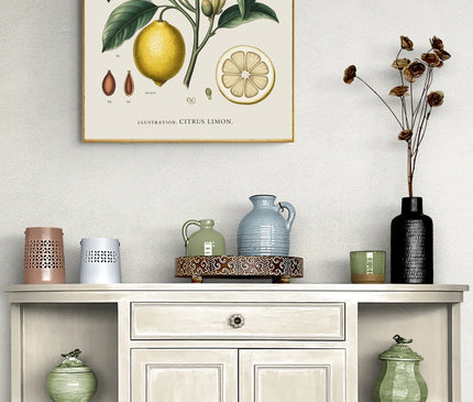 affiche vintage botanique