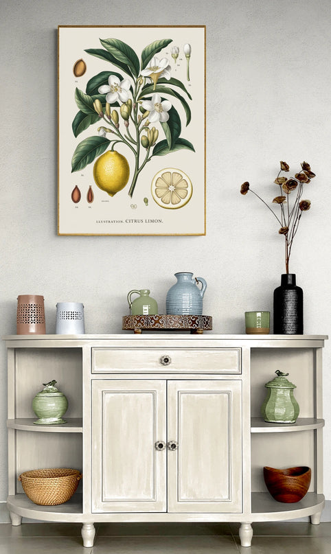 affiche vintage botanique