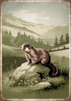 Affiche marmotte des Alpes style rétro montagnard
