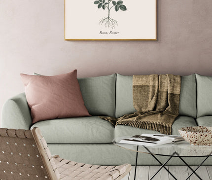 affiches botanique vintage