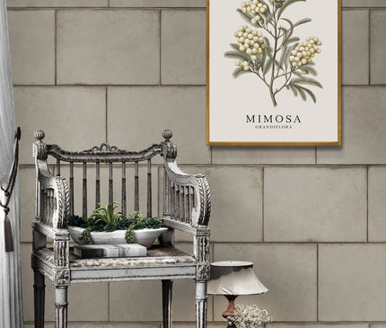 Affiche vintage mimosa en fleurs