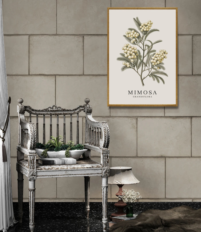 Affiche vintage mimosa en fleurs