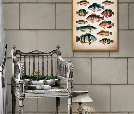 affiche vintage poisson