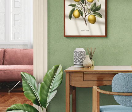 Affiche illustration citron vintage