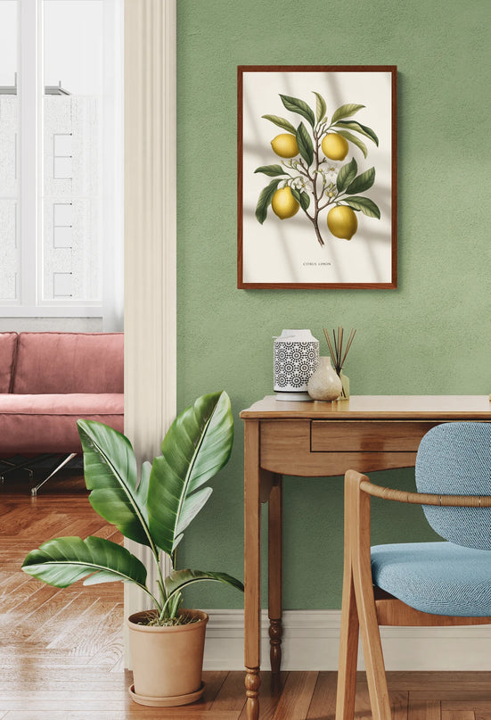 Affiche illustration citron vintage