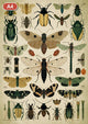 Pack Botanique - 4 affiches A4