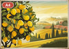 Pack Citron - 4 affiches A4 · Sélection 4