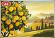 Pack Citron - 4 affiches A4 · Sélection 4