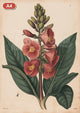 Pack Fleurs - 4 affiches A4 · Sélection 4