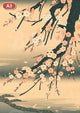 Pack Fleurs - 2 A3 + 1 A2